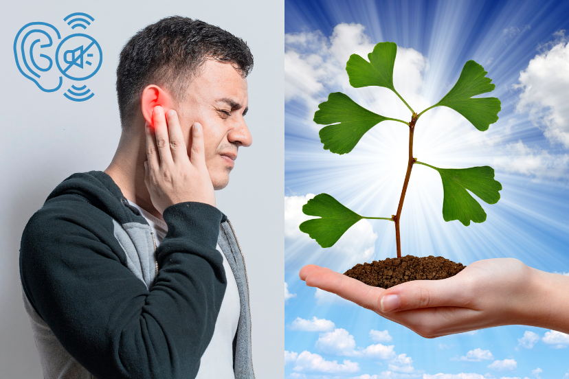 Ginkgo Biloba Tinnitus Tinnitus Cure Guide