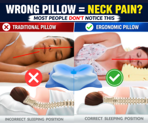 Derila Ergo Memory Foam Pillow